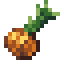 Onion icon