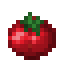 Tomato icon