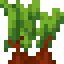 Wild Beetroots icon