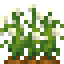 Wild Carrots icon