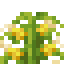 Wild Corn icon