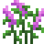 Wild Nettle icon