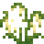 Wild Oat icon