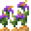 Wild Onions icon