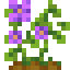 Wild Potatoes icon