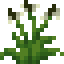 Wild Ribwort icon