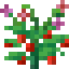 Wild Strawberries icon
