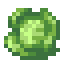 Cabbage icon