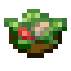 Mixed Salad icon