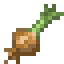 Onion icon