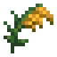 Rice Panicle icon