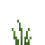 Rice Panicles icon