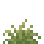 Sandy Shrub icon