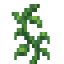 Tomato Vine icon