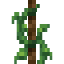 Tomato Vine on Rope icon