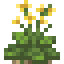 Wild Cabbage icon