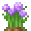 Wild Onion icon