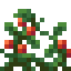 Tomato Shrub icon