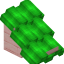 Lime Roof (Cherry) icon