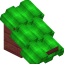 Lime Roof (Mangrove) icon