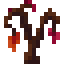 Growing Edelwood icon