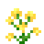 Yellow Orchid icon