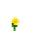 Potted Buttercup icon