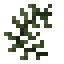 Baked Seaweed icon