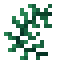 Seaweed icon