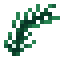 Seaweed Eel icon