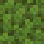 Green Tea Leaf Block icon