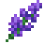 Lavender icon