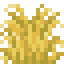 Potted Wild Rooibos icon