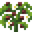 Wild Coffee icon