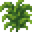 Wild Yerba Mate icon