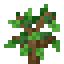 Avocado Fruit Sapling icon