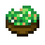 Caesar Salad icon
