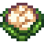 Cauliflower icon