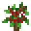 Cherry Fruit Sapling icon