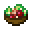 Chicken Berry Salad icon