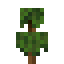 Cinnamon Sapling icon