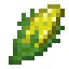 Corn icon