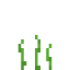 Corn Crop icon
