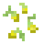 Corn Kernels icon