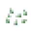 Cucumber Seeds icon