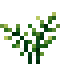 Fresh Bay Leaf icon