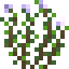 Fresh Oregano icon