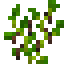 Fresh Peppercorn icon