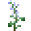 Fresh Sage icon