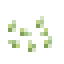 Green Pepper Seeds icon